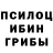 Псилоцибиновые грибы GOLDEN TEACHER Altaichik Artareg