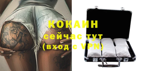 дживик Богданович