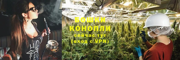 дживик Богданович
