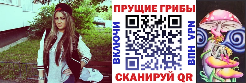 Псилоцибиновые грибы Psilocybe  Верхотурье 