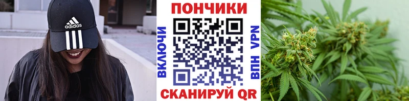 Бошки марихуана гибрид  Верхотурье 